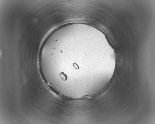 X0000064731188200603031634