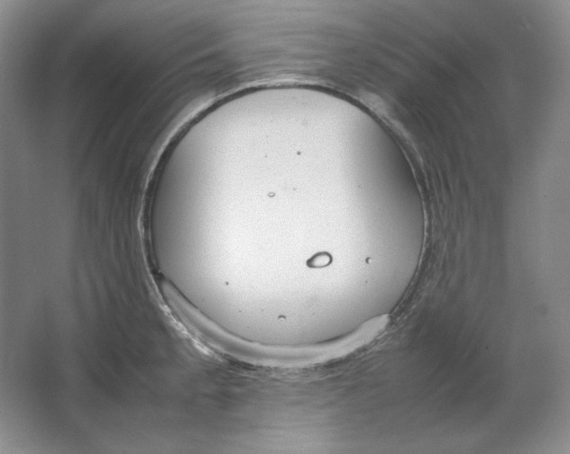 X0000064731189200603031634