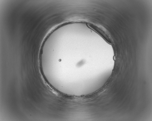 X0000064731191200603031633