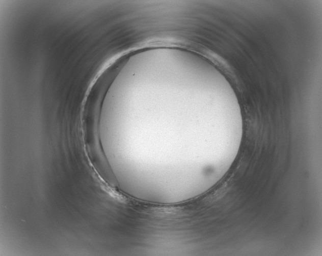 X0000064731192200603031633