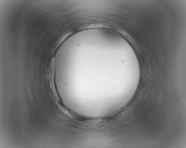 X0000064731193200603031633