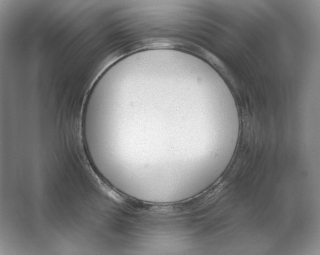 X0000064731194200603031633