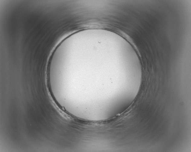 X0000064731195200603031633