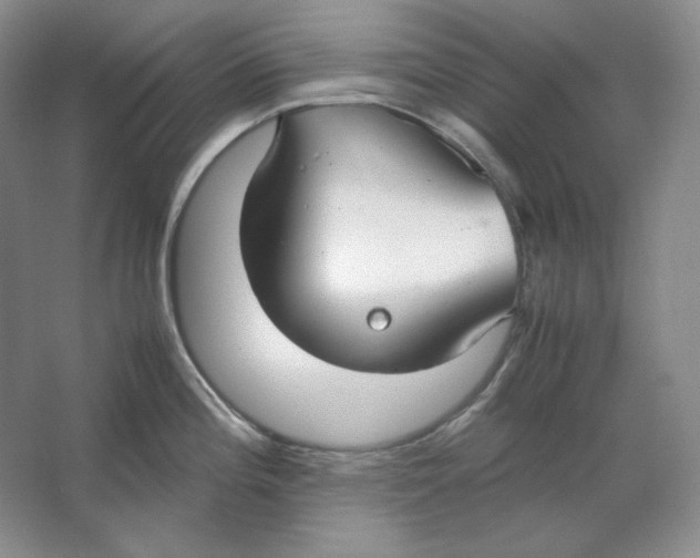 X0000064731196200603031633