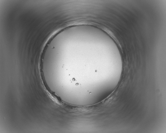 X0000064731197200603031633