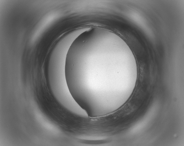 X0000064731198200603031633