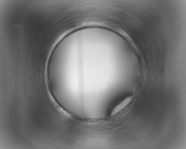 X0000064731199200603031633