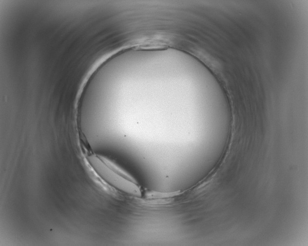 X0000064731200200603031633