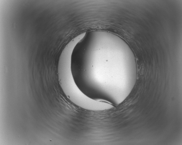 X0000064731202200603031633