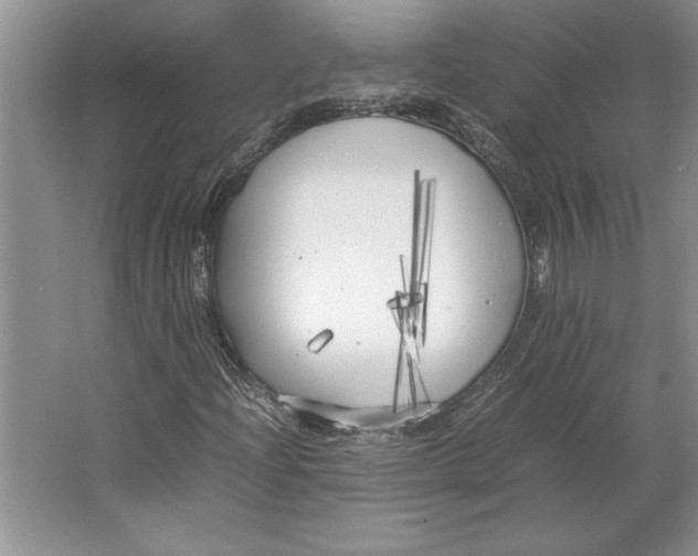 X0000064731204200603031633