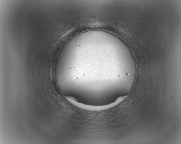 X0000064731205200603031633