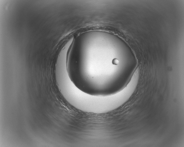 X0000064731206200603031633