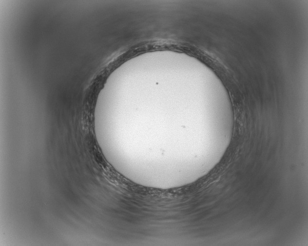 X0000064731207200603031633