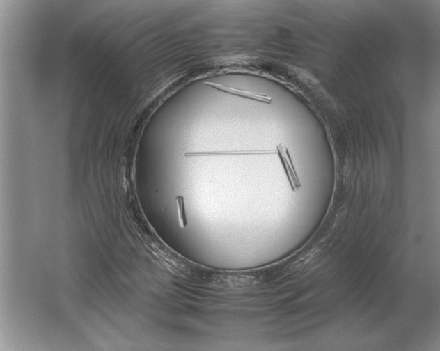 X0000064731209200603031633