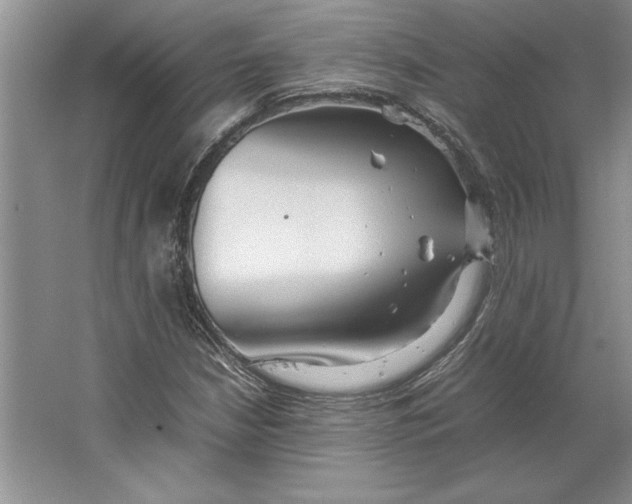 X0000064731210200603031633