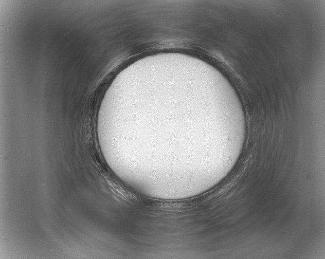 X0000064731211200603031633