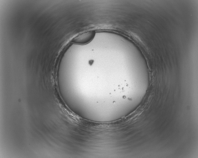 X0000064731212200603031633