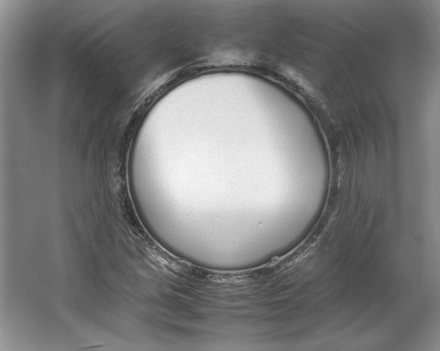 X0000064731213200603031633