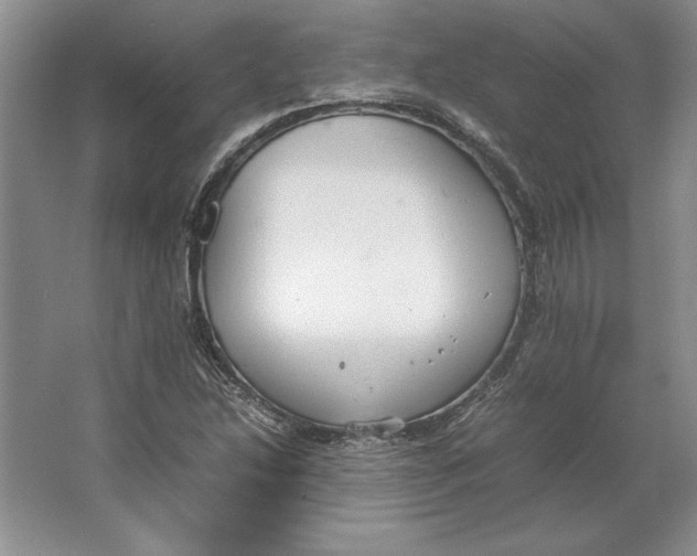 X0000064731214200603031633