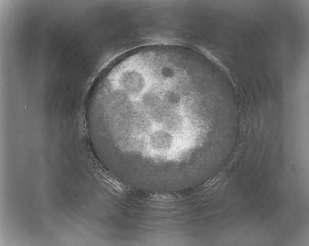 X0000064731215200603031633