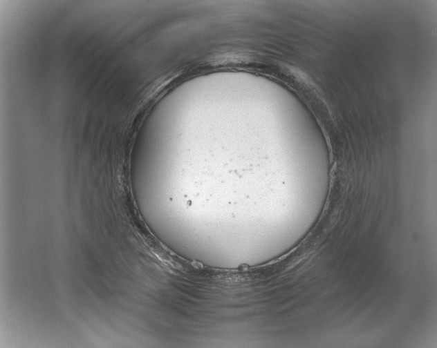 X0000064731217200603031633