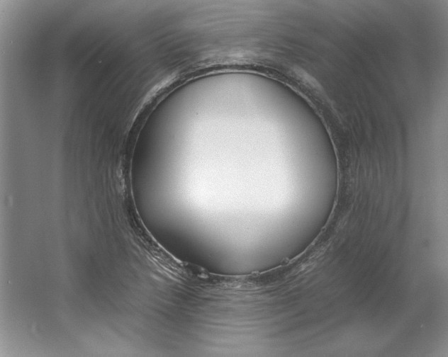 X0000064731218200603031633