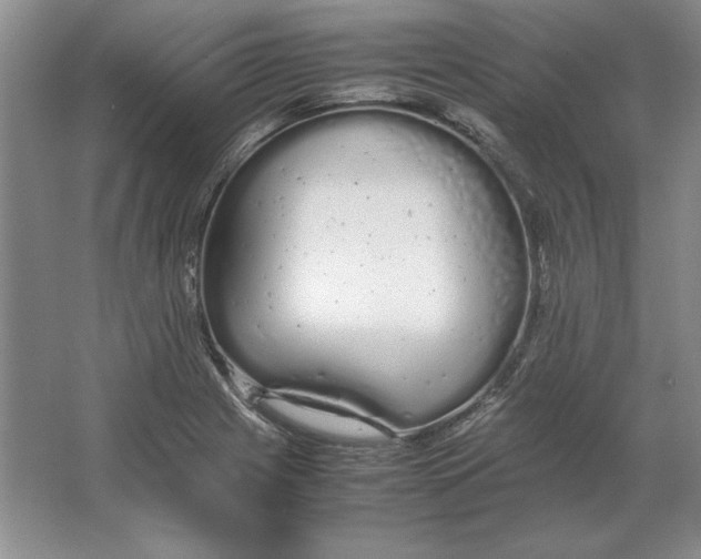 X0000064731225200603031633