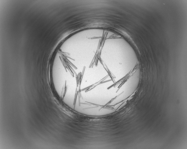 X0000064731227200603031633