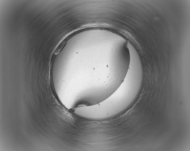 X0000064731228200603031633