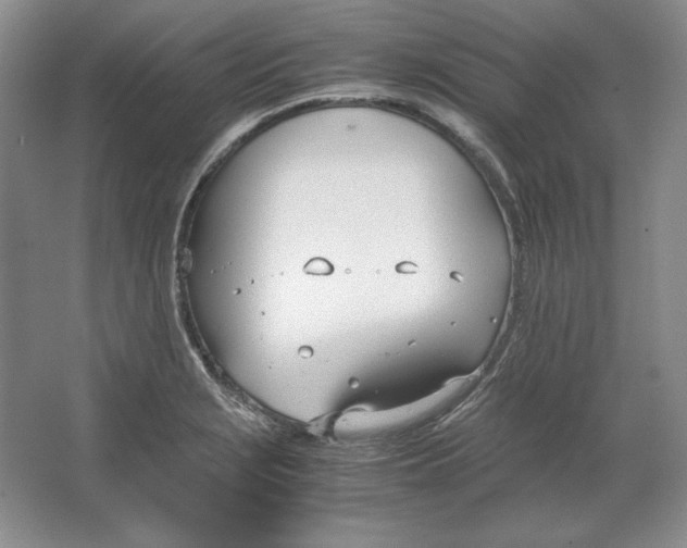 X0000064731229200603031633