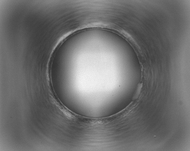 X0000064731230200603031633