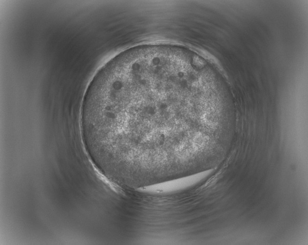 X0000064731231200603031633