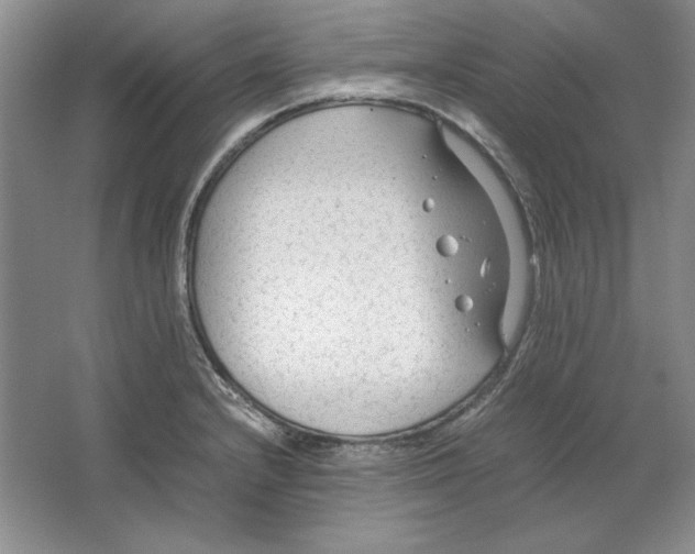 X0000064731232200603031633