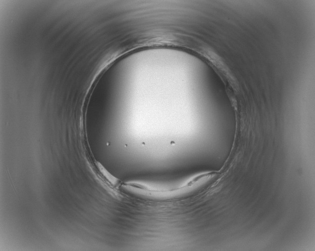 X0000064731234200603031633