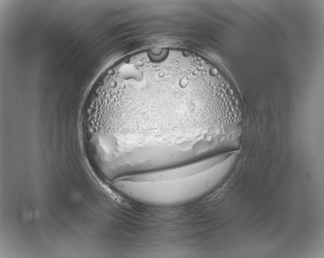 X0000064731235200603031633