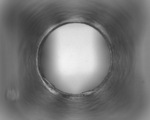 X0000064731237200603031633