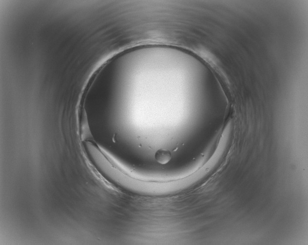 X0000064731238200603031633