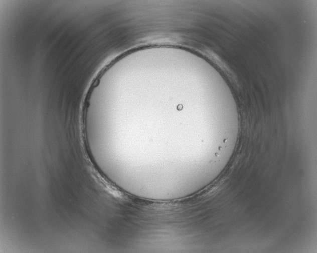 X0000064731240200603031633