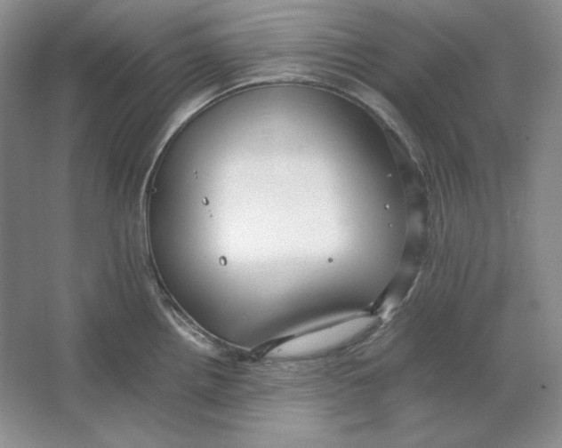 X0000064731242200603031633