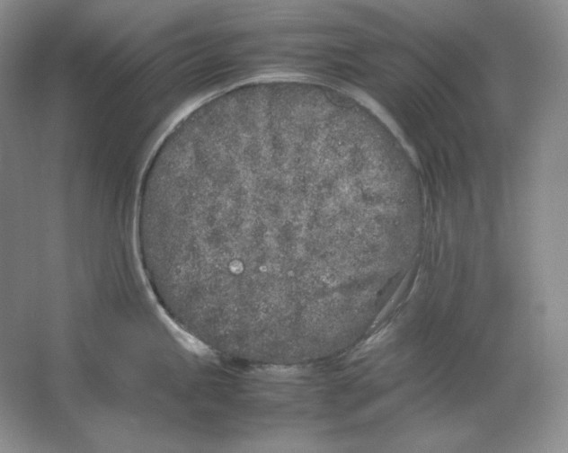 X0000064731245200603031633