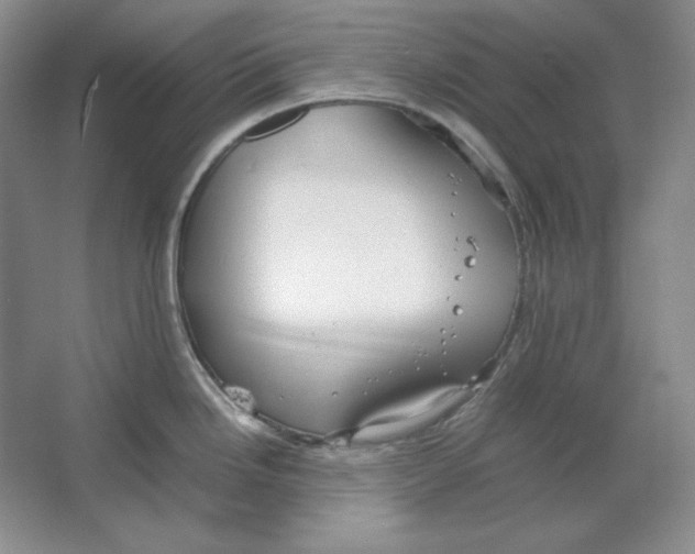 X0000064731246200603031633