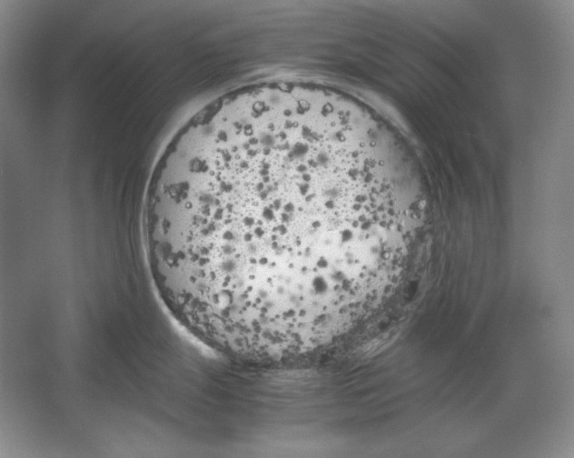 X0000064731247200603031633