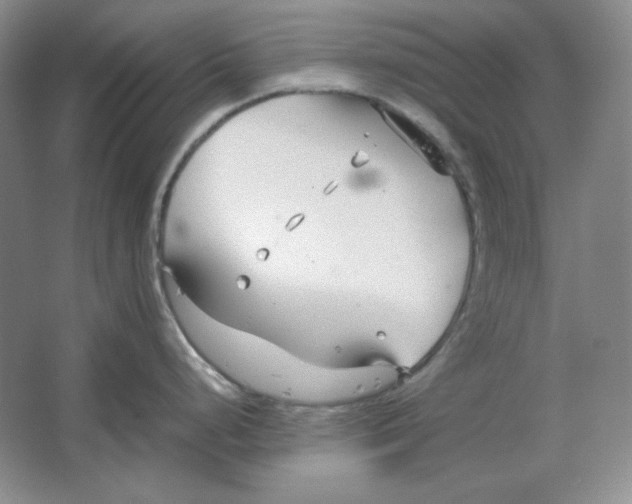 X0000064731248200603031633