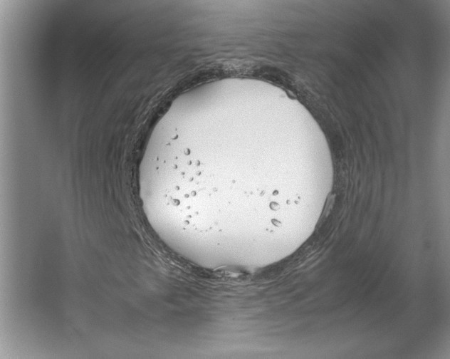 X0000064731249200603031633