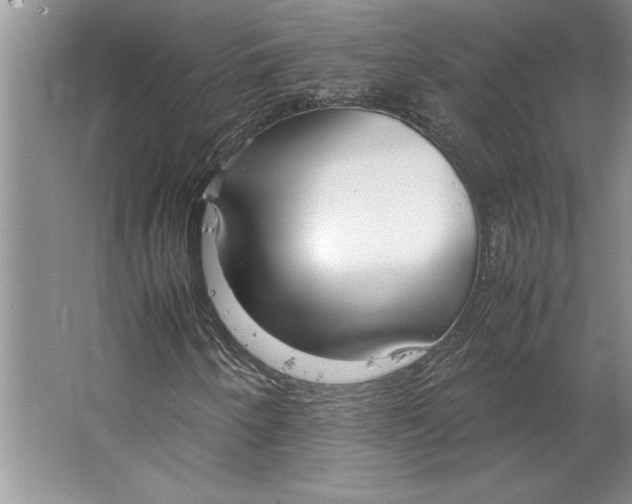 X0000064731250200603031633