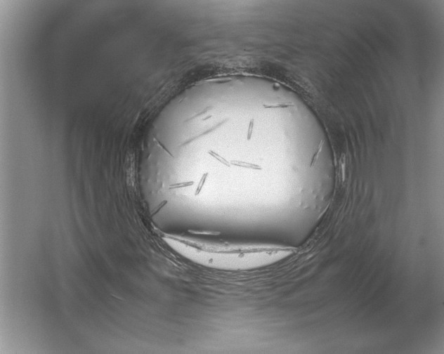 X0000064731251200603031632