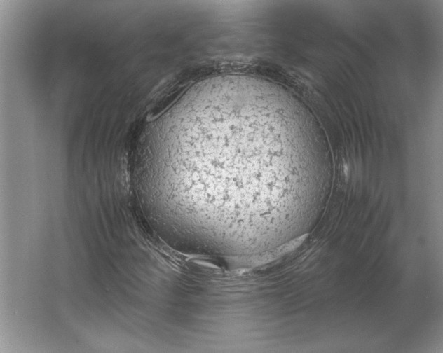 X0000064731252200603031632