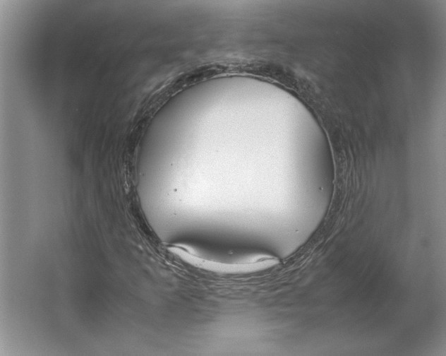 X0000064731253200603031632