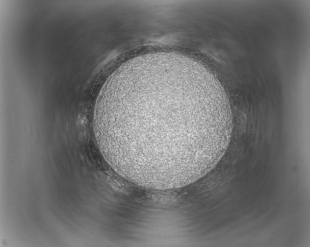 X0000064731254200603031632