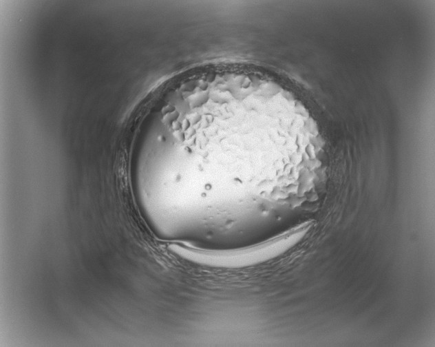 X0000064731255200603031632